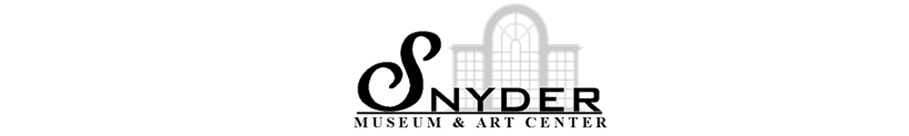 snyder museum banner